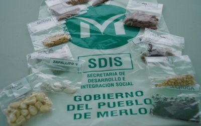 ENTREGA DE SEMILLAS EN PONTEVEDRA