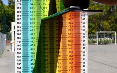 DIAGNÓSTICOS DEPORTIVOS EN LAS ESCUELAS DE MERLO