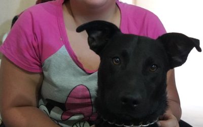 CASTRACIONES GRATUITAS EN BARRIO RIVADAVIA