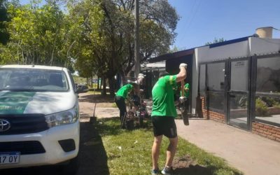 ENTREGA DE ÁRBOLES GRATUITOS PARA LOS VECINOS DE MERLO