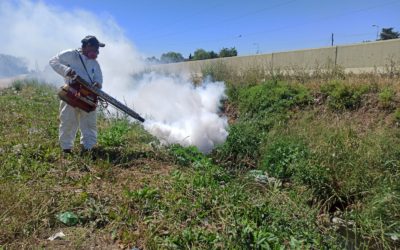 FUMIGACIÓN EN ESPACIOS PÚBLICOS DE MERLO