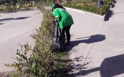MANTENIMIENTO DE ESPACIOS PÚBLICOS DEL DISTRITO