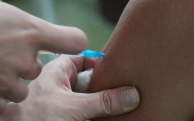 CONTINÚAN LOS OPERATIVOS DE VACUNACIÓN EN MERLO