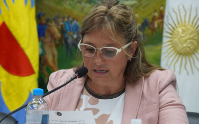 APERTURA DE SESIONES EN EL HCD DE MERLO