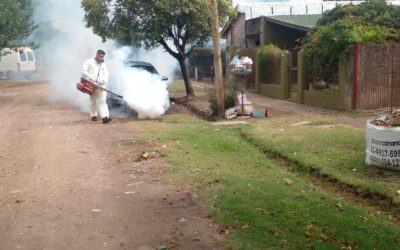 CONTINÚAN LAS FUMIGACIONES EN MERLO