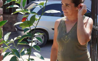 NUEVA ENTREGA DE ÁRBOLES GRATUITOS PARA VECINOS