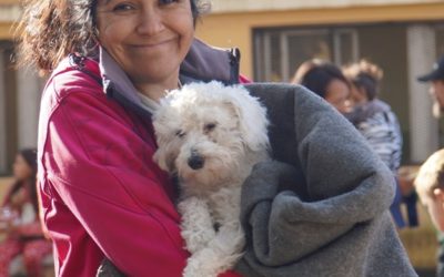 CASTRACIONES GRATUITAS EN RIO ALEGRE
