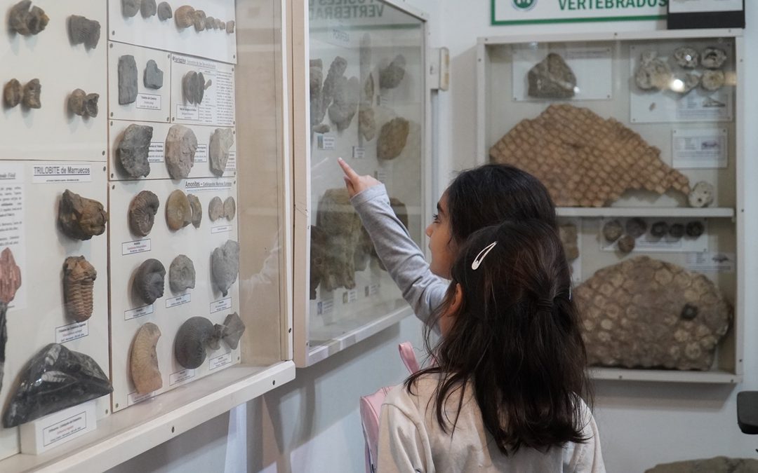 PROPUESTA INTERACTIVA EN EL MUSEO DE CS NATURALES