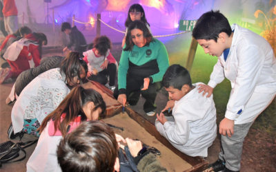 ACTIVIDADES EDUCATIVAS PARA LAS ESCUELAS DE MERLO