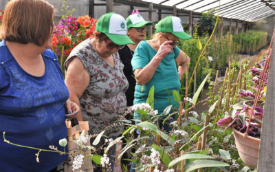 JORNADA RECREATIVA PARA LOS ADULTOS MAYORES