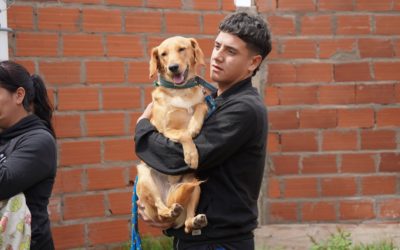 CASTRACIONES GRATUITAS EN BARRIO ARGENTINO