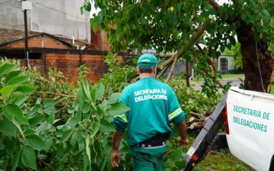TODAS LAS ÁREAS MUNICIPALES TRABAJAN EN LA ASISTENCIA POR EL FUERTE TEMPORAL
