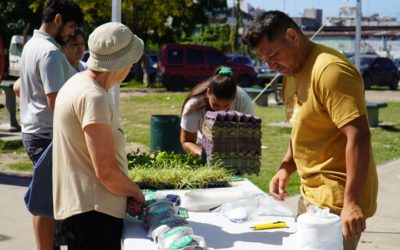 MERLO IMPLEMENTA NUEVO PROGRAMA DE RECICLADO