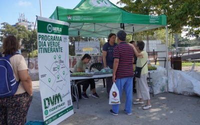 SE VIENE EL DÍA VERDE MERLENSE