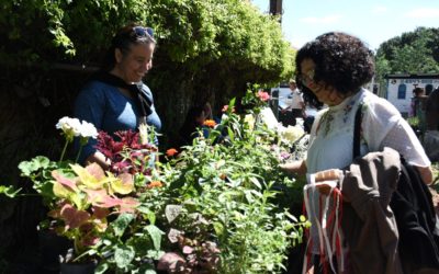ENTREGA DE SEMILLAS Y CAPACITACIÓN AMBIENTAL