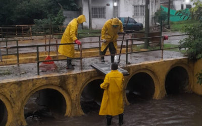 TAREAS DE MANTENIMIENTO DE ARROYOS