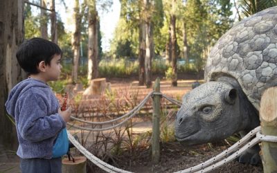 TRAVESÍA DINO 2024 EN MERLO