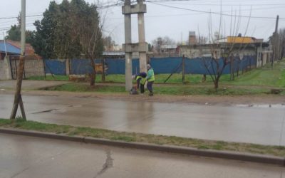 MANTENIMIENTO Y LIMPIEZA EN LA RUTA 21