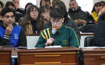 JORNADA DISTRITAL DEL PARLAMENTO JUVENIL DEL MERCOSUR