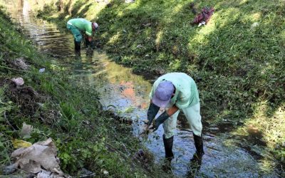 LIMPIEZA Y MANTENIMIENTO DEL ARROYO TORRES