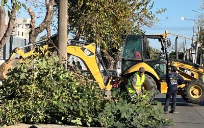 PARQUIZACIÓN DE ESPACIOS PÚBLICOS