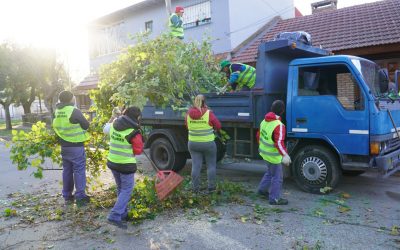 TAREAS DE MANTENIMIENTO Y FORESTACIÓN EN MERLO