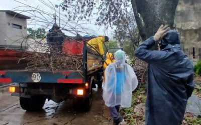 CONTINUAN LOS TRABAJOS INTENSIVOS