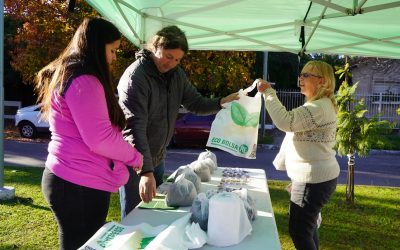 DÍA MUNDIAL DEL AMBIENTE