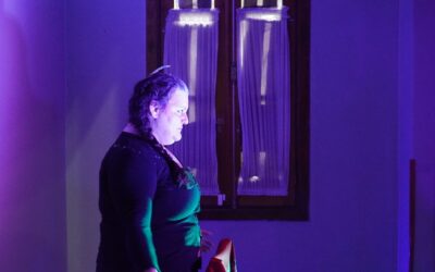 MERLENSES DISFRUTARON DE OBRAS TEATRALES GRATUITAS