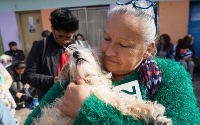 CASTRACIONES GRATUITAS EN LOS BARRIOS