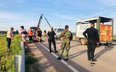 EL MUNICIPIO DE MERLO RESCATÓ A CABALLO UTILIZADO PARA TRACCIÓN A SANGRE