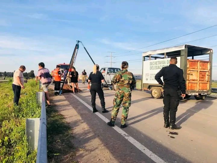 EL MUNICIPIO DE MERLO RESCATÓ A CABALLO UTILIZADO PARA TRACCIÓN A SANGRE