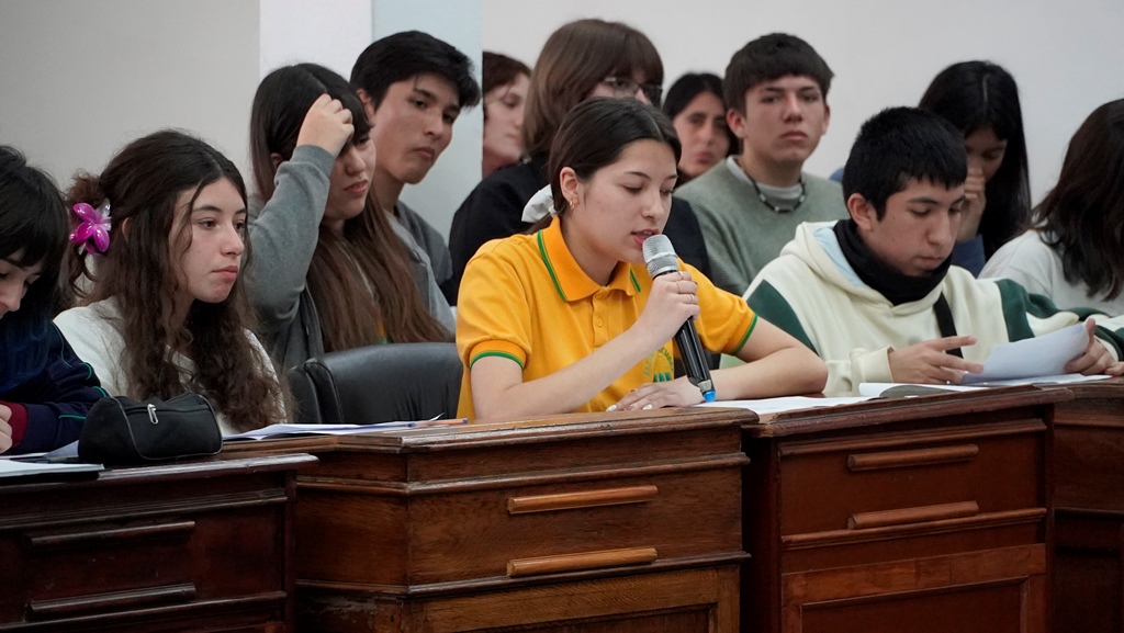 JORNADA DEL PARLAMENTO JUVENIL DEL MERCOSUR