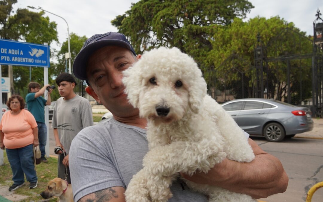 VACUNACIÓN ANTIRRÁBICA GRATUITA EN MERLO