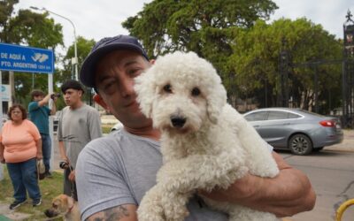 VACUNACIÓN ANTIRRÁBICA GRATUITA EN MERLO